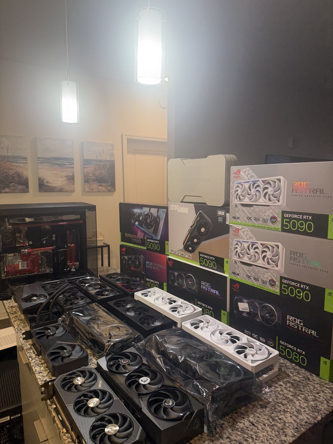 Collection of high-end graphics cards